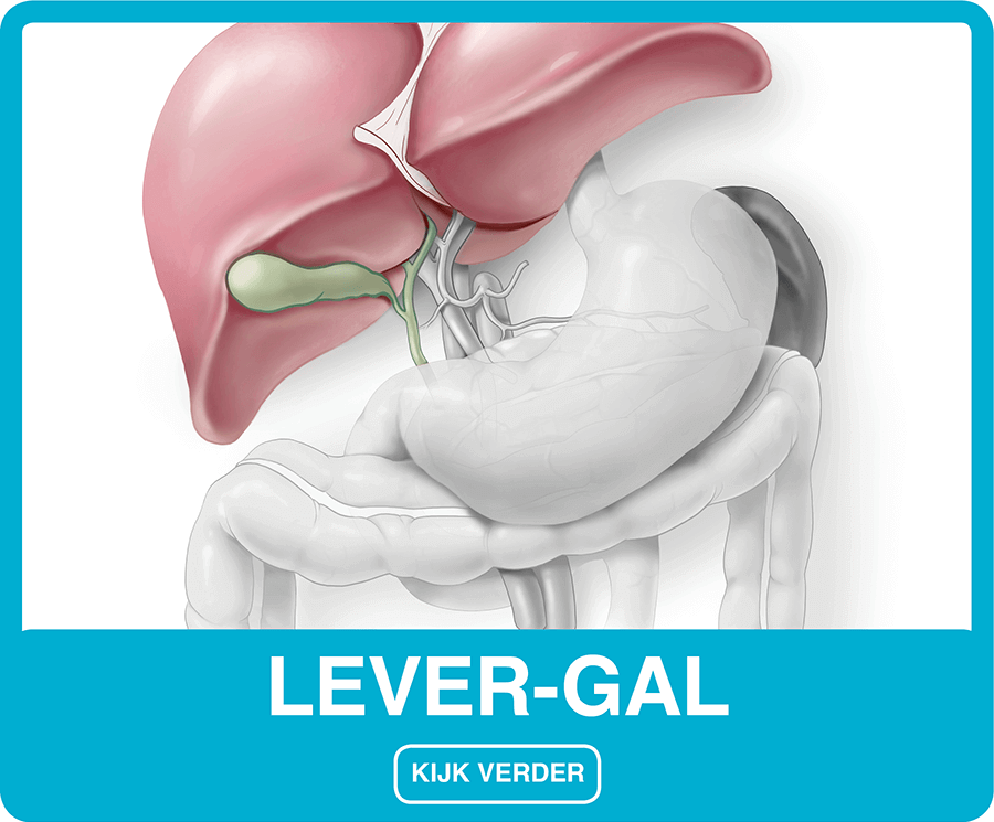 Lever-gal