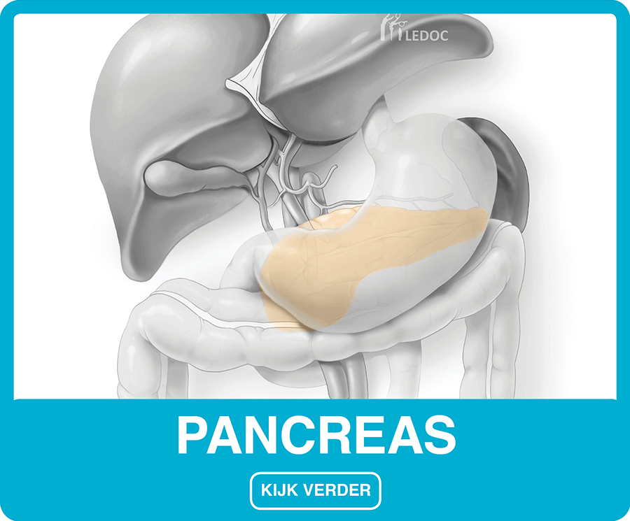 Pancreas