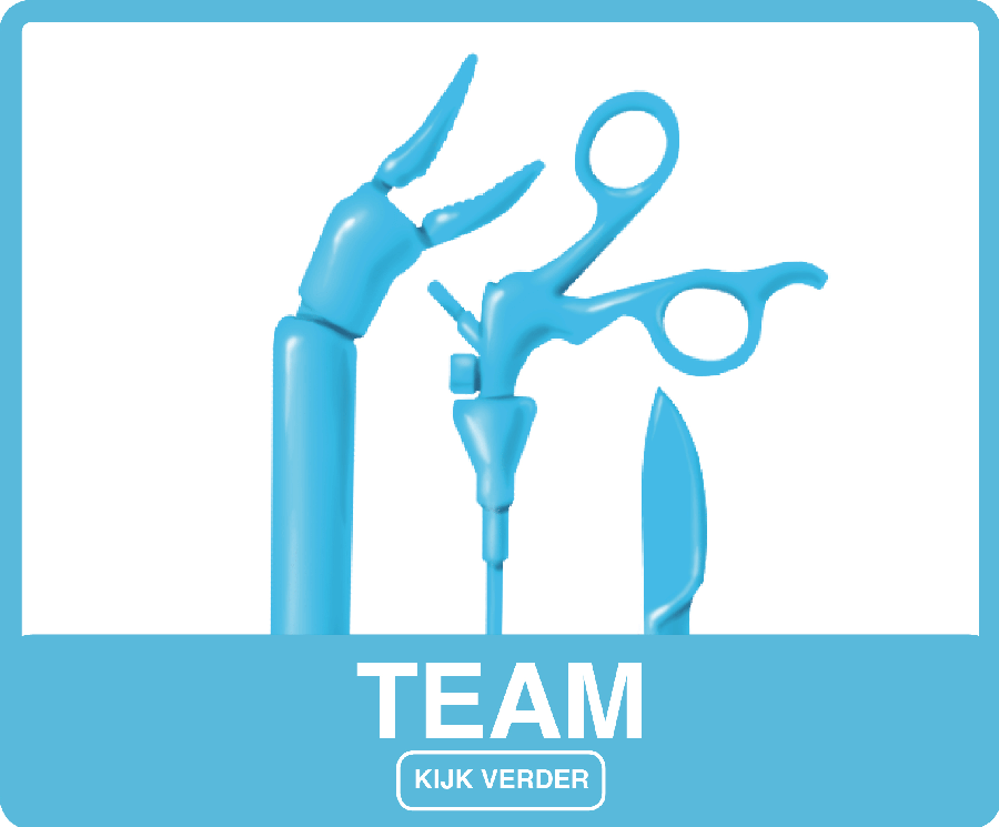 Team
