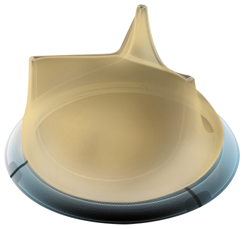 LivaNova (Sorin) Crown
