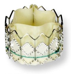 Edwards Sapien THV