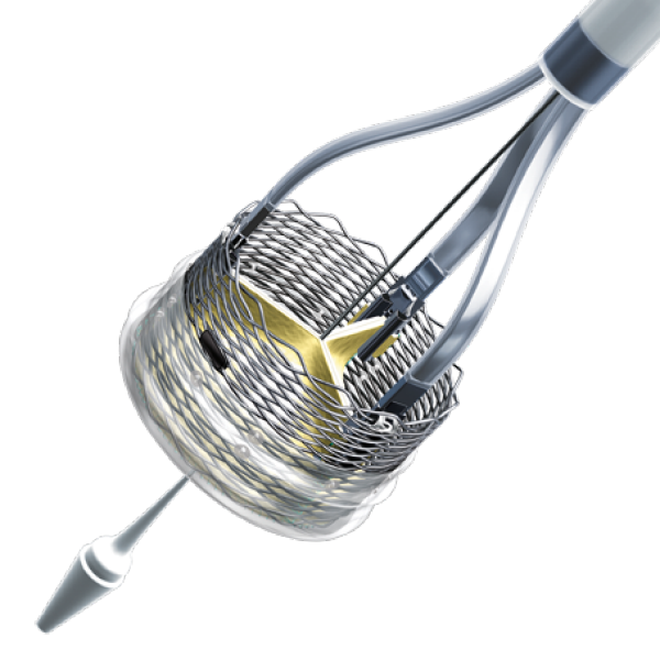 Lotus® TAVI, Boston Scientific