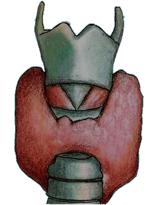 Schildklier