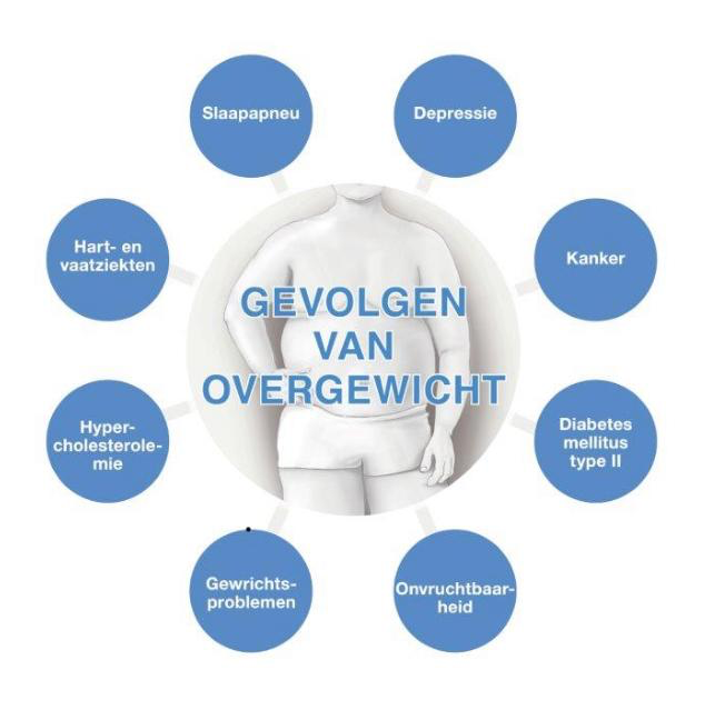 Overgewicht oorzaken