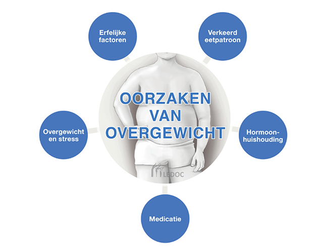 Overgewicht oorzaken