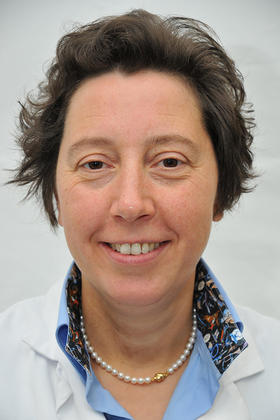Prof. dr. Liesbet Mesotten